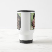 Tasse allemande d'indicateur aux cheveux courts (Centre)