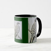 Tasse américaine de crécerelle (Devant droit)