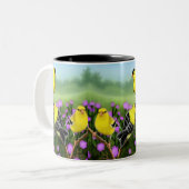 Tasse américaine sauvage de chardonnerets (Devant gauche)