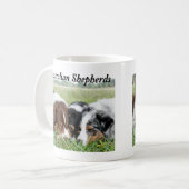 Tasse australienne de berger (Devant gauche)