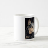 Tasse australienne de chien de bétail - "Quigley " (Devant droit)