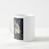 Tasse australienne de chien de bétail - "Quigley " (Devant gauche)