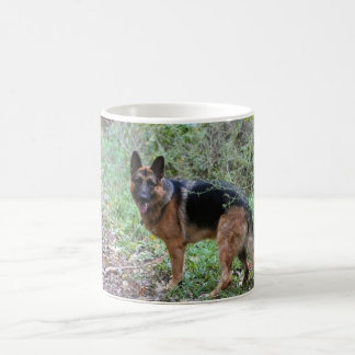 Tasse avec berger allemand