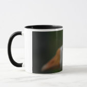 Tasse avec des oies… (Gauche)