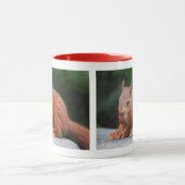 Tasse avec écureuil bébé et noix (Centre)