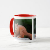 Tasse avec écureuil bébé et noix (Devant gauche)