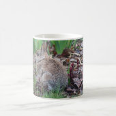 Tasse avec lapin (Centre)