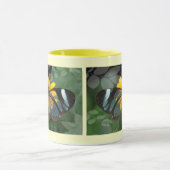 Tasse avec le papillon sur la fleur jaune (Centre)