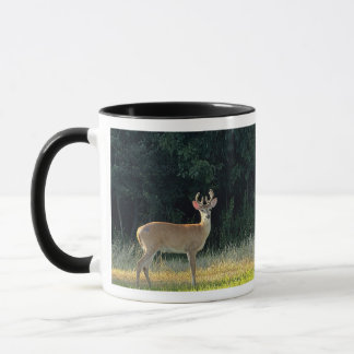 Tasse avec photo de cerf