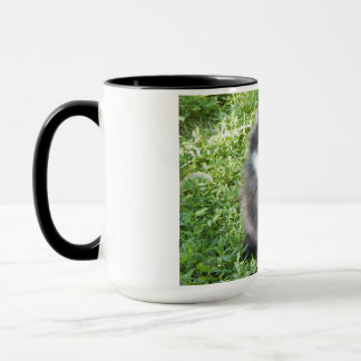 tasse avec photo originale d'un Poméranien