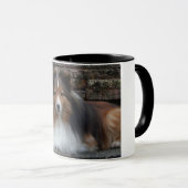 tasse avec photo originale Sheltie (Devant droit)