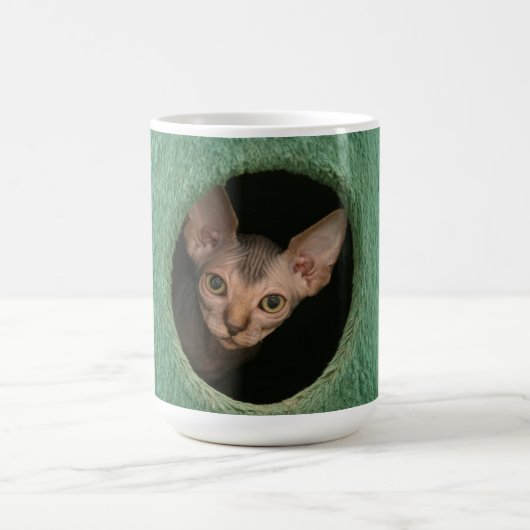 Tasse avec un chaton mignon de sphynx (Centre)