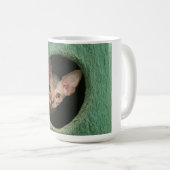 Tasse avec un chaton mignon de sphynx (Devant droit)