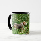 Tasse Beagle  (Devant gauche)