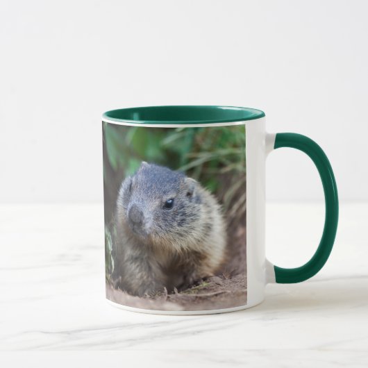 Tasse bébé marmotte curieuse (Droite)