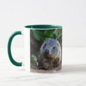 Tasse bébé marmotte curieuse (Gauche)