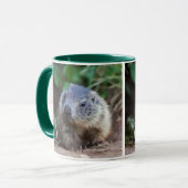 Tasse bébé marmotte curieuse (Devant gauche)
