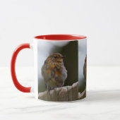 Tasse Bébé Rougegorge (Gauche)