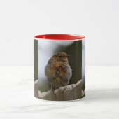 Tasse Bébé Rougegorge (Centre)