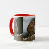 Tasse Bébé Rougegorge (Devant gauche)