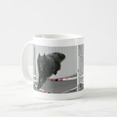 Tasse belge d'agilité de chien de berger (Devant gauche)