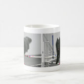 Tasse belge d'agilité de chien de berger (Centre)