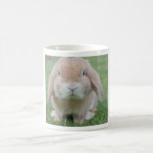 Tasse blanche classique de lapin potelé (Centre)