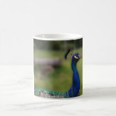 Tasse blanche classique photo de paon (Centre)