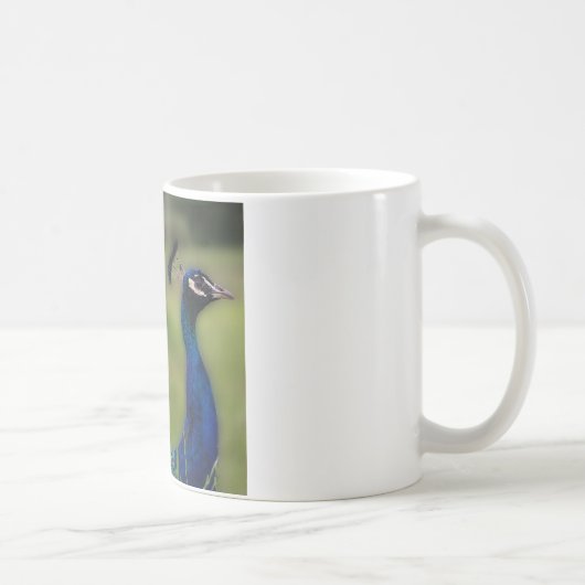 Tasse blanche classique photo de paon (Droite)