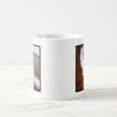 Tasse blanche de chat persan (Centre)