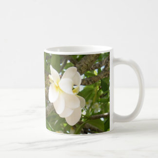 Tasse blanche de Cofee de Plumeria
