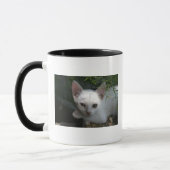 Tasse blanche de minou (Gauche)