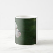 Tasse blanche de photo de chien de boxeur de (Centre)