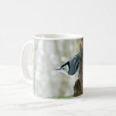 Tasse blanche de sittelle de Breasted (Devant gauche)