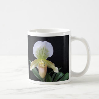 Tasse blanche d'orchidée de pantoufle
