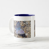 Tasse blauer Schmetterling (Devant gauche)