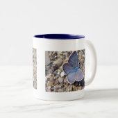 Tasse blauer Schmetterling Tweekleurige Koffiemok (Voorkant rechts)