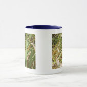 Tasse bleue de Damselfly (Centre)