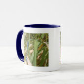 Tasse bleue de Damselfly (Devant gauche)