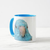 Tasse bleue de Parrotlet (Devant gauche)
