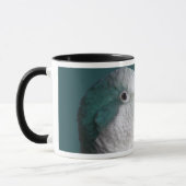 Tasse bleue de perroquet de quaker (Gauche)