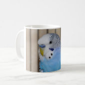 Tasse bleue de perruche (Devant gauche)