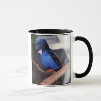 Tasse bleue de pognon