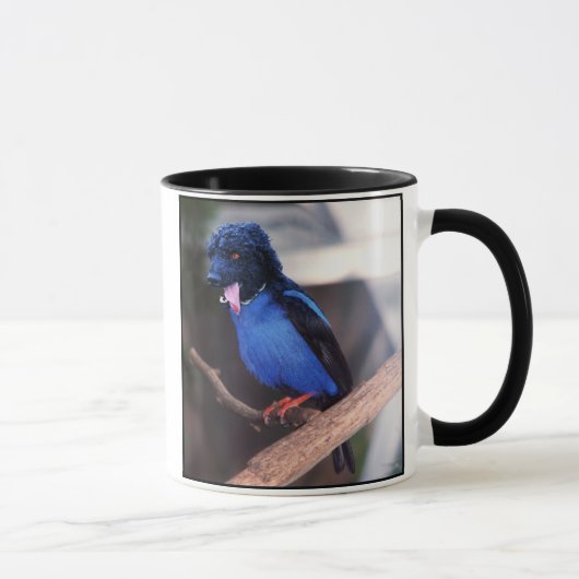 Tasse bleue de pognon (Droite)