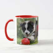 Tasse Border Collie chiot avec balle rouge café (Gauche)