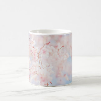 TASSE - branche de Sakura