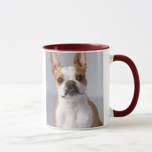 Tasse brun clair de chien de Boston Terrier