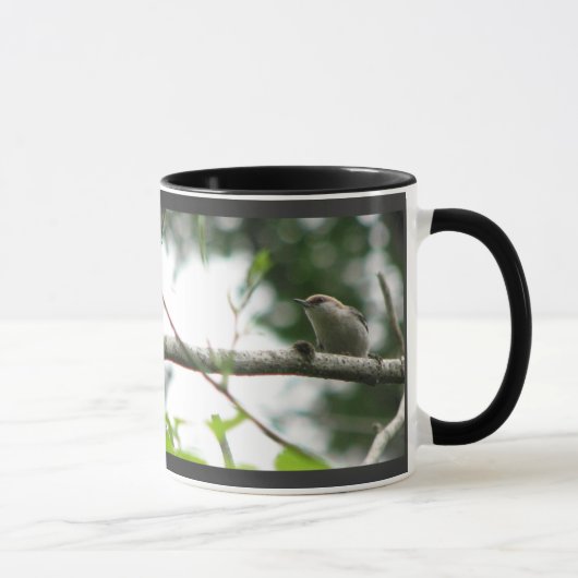 tasse Brun-dirigée de sittelle (Droite)