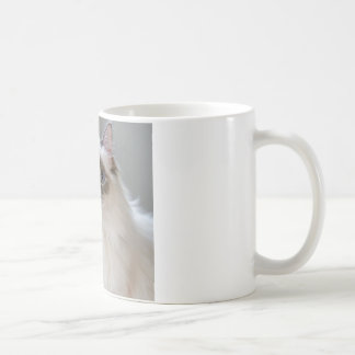 tasse cadeau