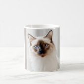 tasse cadeau (Centre)